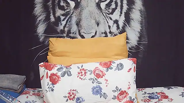 SweetPortableAmber online show from 02.24.26