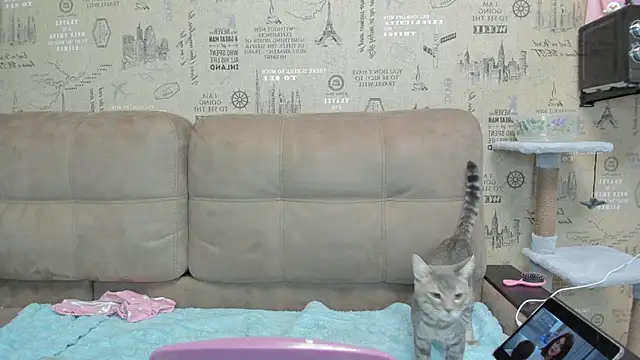 Kelly Gerzikaa online show from 11.29.25