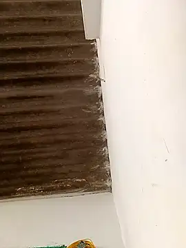 Snapshot of Sapna9685 chatting on 11.15.25 Sapna9685 online show from 11.15.25