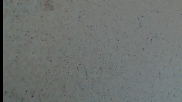 crazy daniela online show from 10.23.25