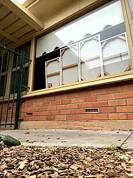 Stelan690 online show from 10.19.25