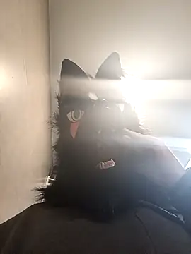 Wolf Okami SP online show from 01.14.26