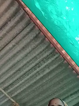 Hot-honi online show from 11.12.25