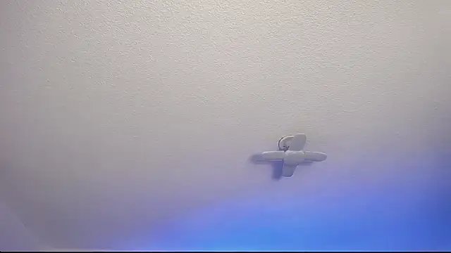 Snapshot of _Charlotte_Collins_ chatting on 02.09.26 Charlotte Collins online show from 02.09.26