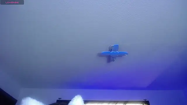 Snapshot of _Charlotte_Collins_ chatting on 02.17.26 Charlotte Collins online show from 02.17.26