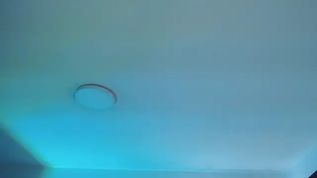  Charlotte Collins  online show from 04.10.26