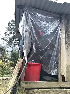 liu-liusexy online show from 01.19.26