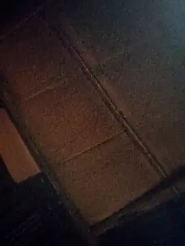 Snapshot of omiu-baby chatting on 10.21.25 omiu-baby online show from 10.21.25