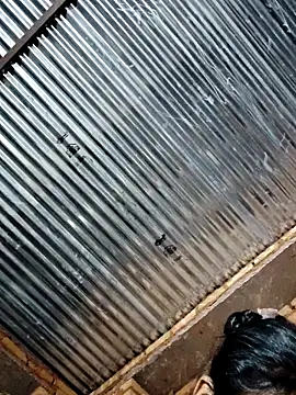 Pooja750 online show from 03.11.26