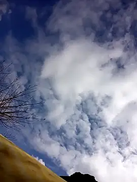 tcm-cute online show from 10.23.25