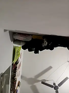 Payal950 online show from 11.08.25