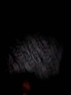 bajoderx585Oregano online show from 11.17.25