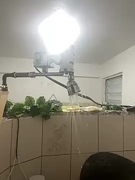 YadielPublic online show from 04.10.26