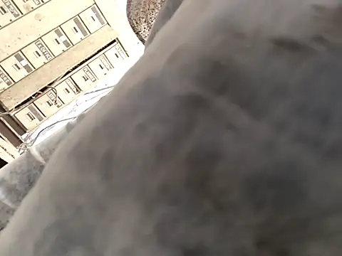 xyz-indian online show from 10.01.25