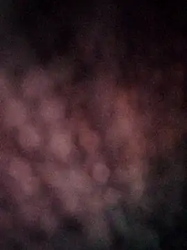 CUTE-003 online show from 11.08.25