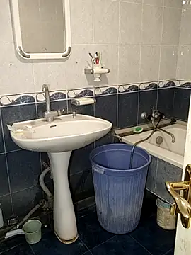 sealbrok online show from 10.30.25