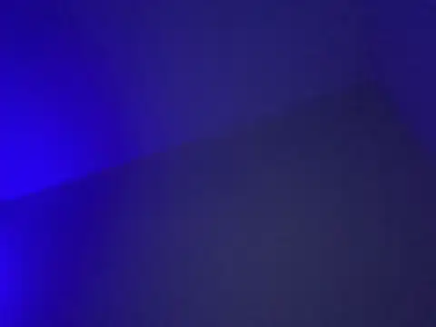 Snapshot of LustyDuoSecrets chatting on 12.17.25 LustyDuoSecrets online show from 12.17.25