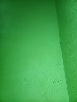 pussywet 08 online show from 12.21.25