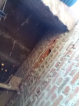 Xx pooja online show from 02.08.26