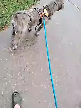 Unknownstepbrother online show from 10.05.25