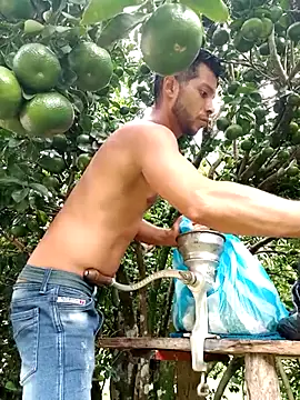 AlphaAlterX online show from 10.04.25