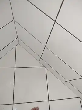 Novin23cms online show from 12.20.25