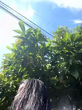 Snapshot of Sophie_Dreamss chatting on 10.03.25 Sophie Dreamss online show from 10.03.25