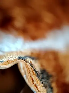 Hot lali 555 online show from 01.07.26