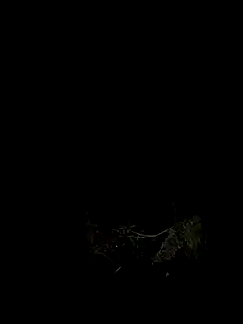 Adele Pinkk online show from 10.07.25