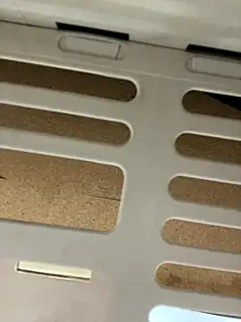 fitsexyman online show from 11.17.25