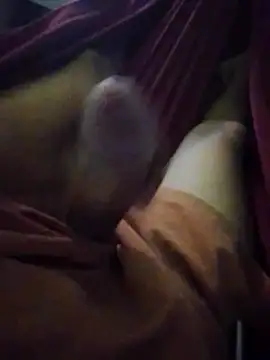 Holanda23cm online show from 04.13.26