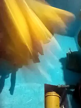 Snapshot of Hema4545 chatting on 10.31.25 Hema4545 online show from 10.31.25