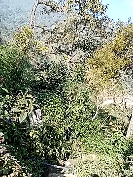 xinhxinhcute online show from 12.01.25