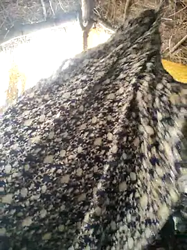 Snapshot of LUCKY_cut chatting on 10.20.25 LUCKY cut online show from 10.20.25