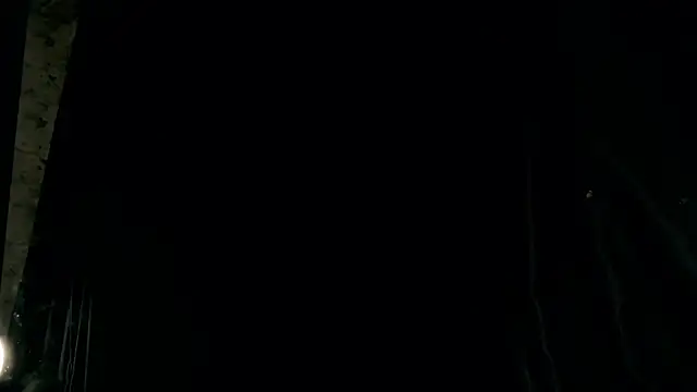 rosy petal online show from 11.12.25