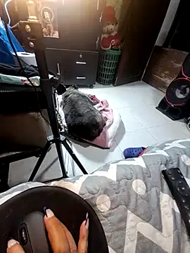 anythompsom online show from 11.10.25