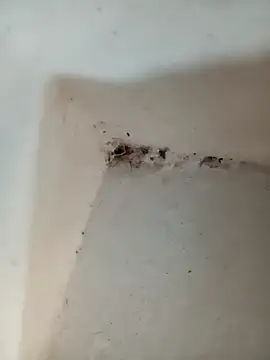 Snapshot of Punam_jindal chatting on 10.07.25 Punam jindal online show from 10.07.25