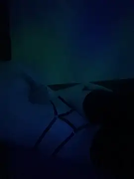 Snapshot of gjollyros chatting on 02.18.26 gjollyros online show from 02.18.26