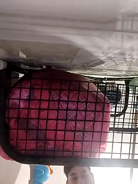 Snapshot of Ferxxxo1503 chatting on 11.05.25 Ferxxxo1503 online show from 11.05.25