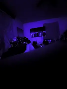 littlecockginger online show from 10.31.25