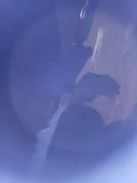 8133vaibhavh online show from 10.16.25