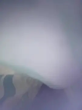 8133vaibhavh online show from 01.10.26