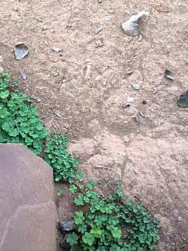 Ag punam online show from 02.10.26