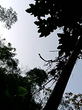 kemtuoi-sex online show from 01.11.26