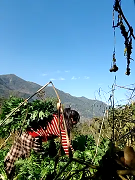 Snapshot of kemtuoi-sex chatting on 02.05.26 kemtuoi-sex online show from 02.05.26