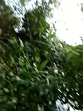 -Xuka-200 online show from 10.20.25