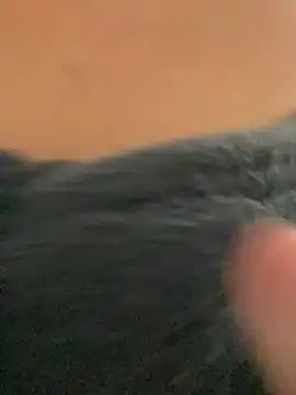    seusegredo online show from 02.04.26