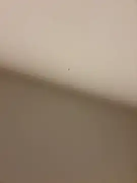 Snapshot of Yunjieusa_66 chatting on 09.21.25 Yunjieusa 66 online show from 09.21.25