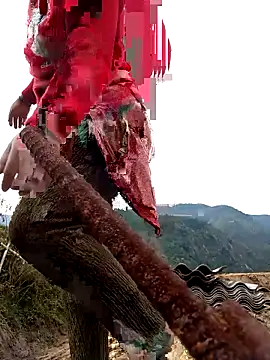 SSexykute3456 online show from 11.24.25