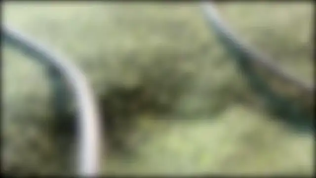 AzureEyes online show from 02.24.26